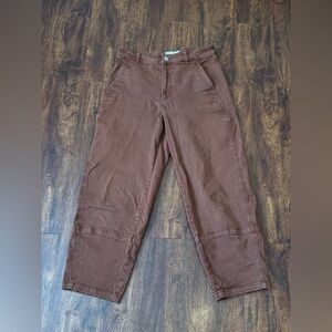 Everlane Utility Barrel Pant